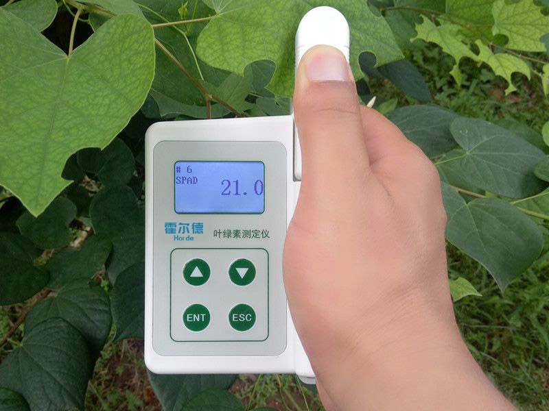 葉綠素含量測定儀具備哪些功能特點？