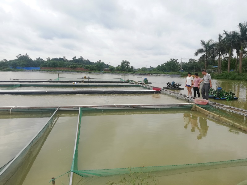 余氯分析儀可提前預防養殖風險 余氯分析儀可提前預防養殖風險