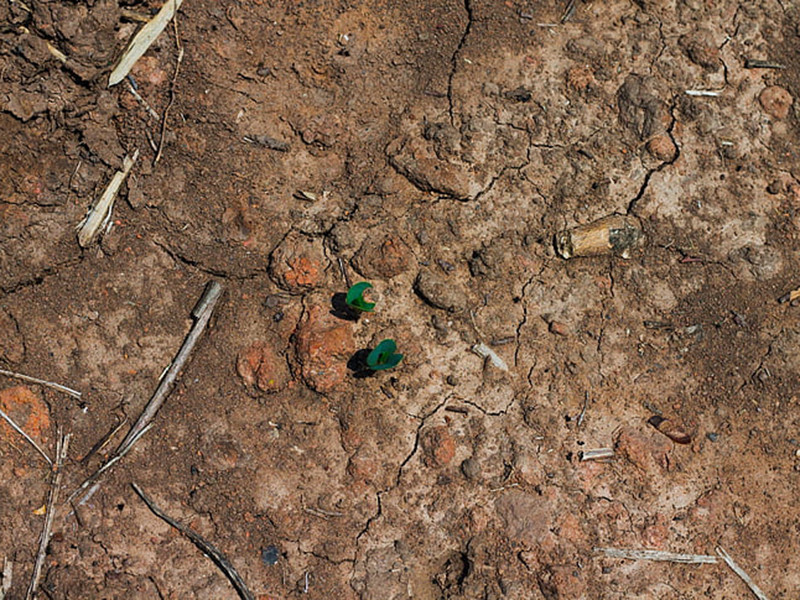 高智能土壤養分速測儀提高作物產量 高智能土壤養分速測儀提高作物產量