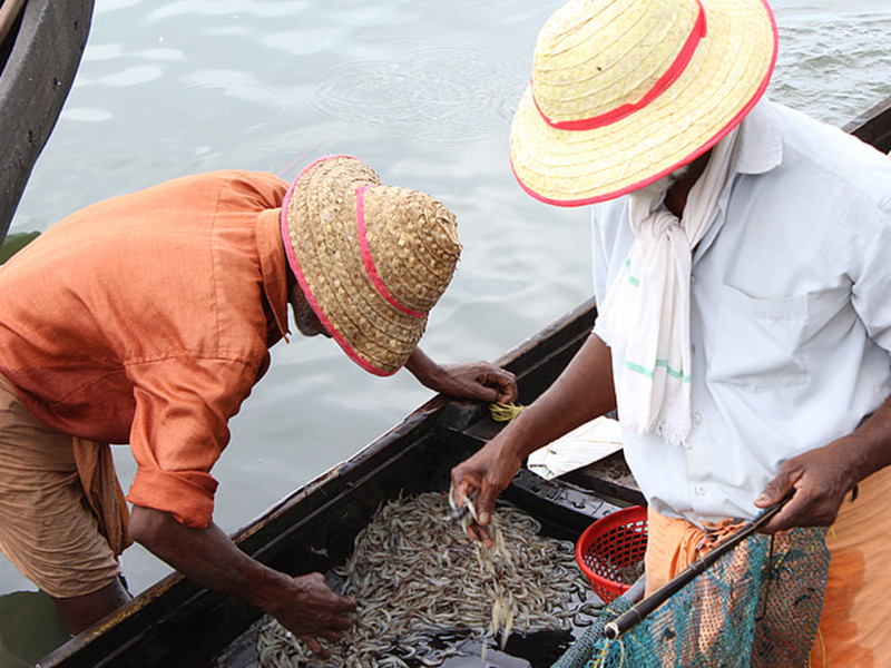 水產養殖水質檢測儀分析儀有效分析水體狀況 水產養殖水質檢測儀分析儀有效分析水體狀況