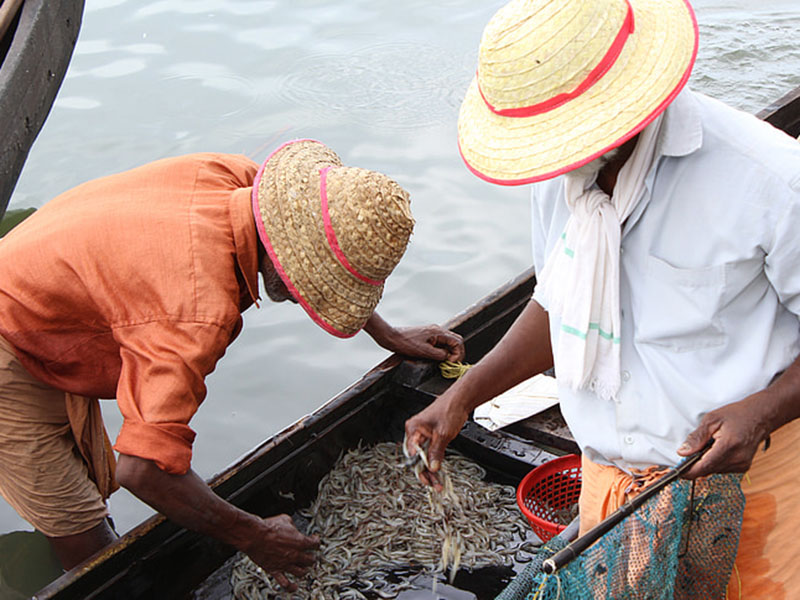 水產養殖業檢測水質的儀器是哪款？