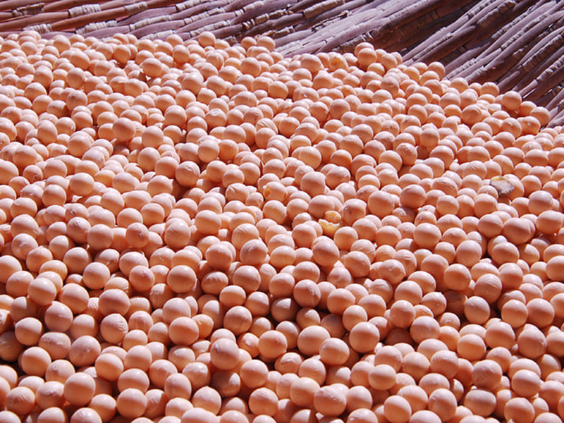 大豆黃曲霉素怎么測？