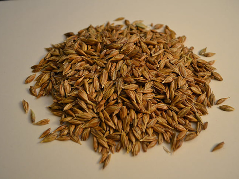 小麥嘔吐毒素怎么檢測(cè) 小麥嘔吐毒素怎么檢測(cè)