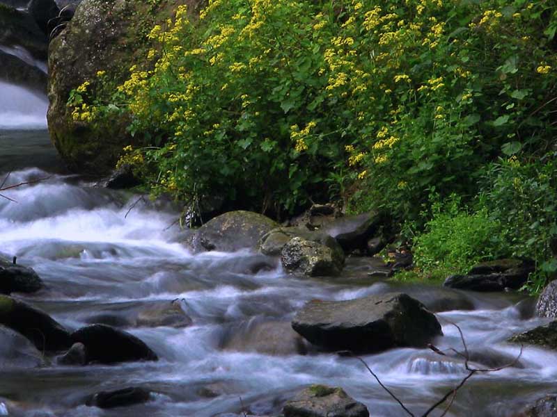 最新地表水水質監(jiān)測數(shù)據(jù)統(tǒng)計 最新地表水水質監(jiān)測數(shù)據(jù)統(tǒng)計