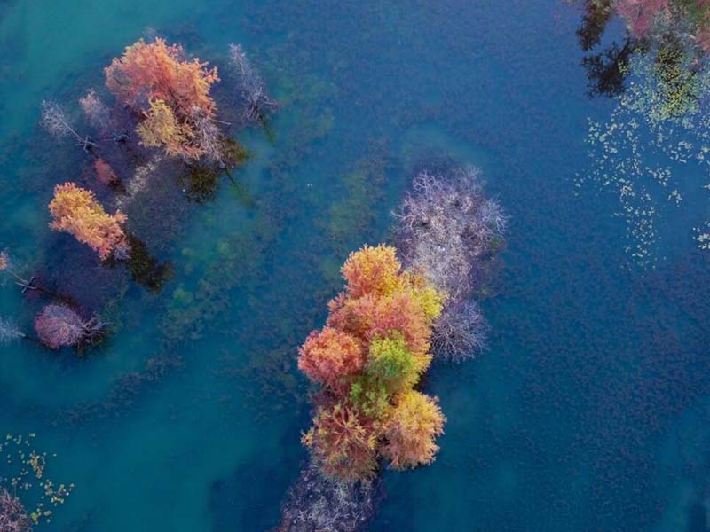 飲用水水質(zhì)監(jiān)測指標(biāo)有哪些 飲用水水質(zhì)監(jiān)測指標(biāo)有哪些