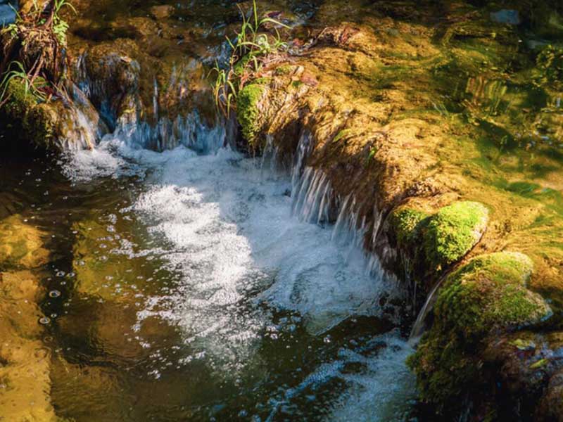 水質(zhì)總氮快速測(cè)定儀檢測(cè)原理