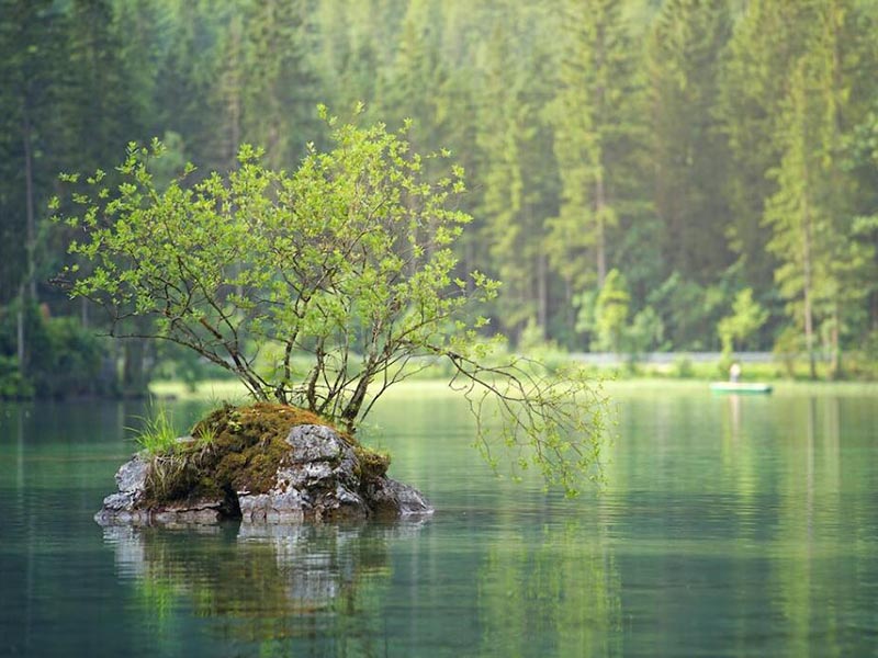 水中葉綠素在線監(jiān)測(cè)儀原理