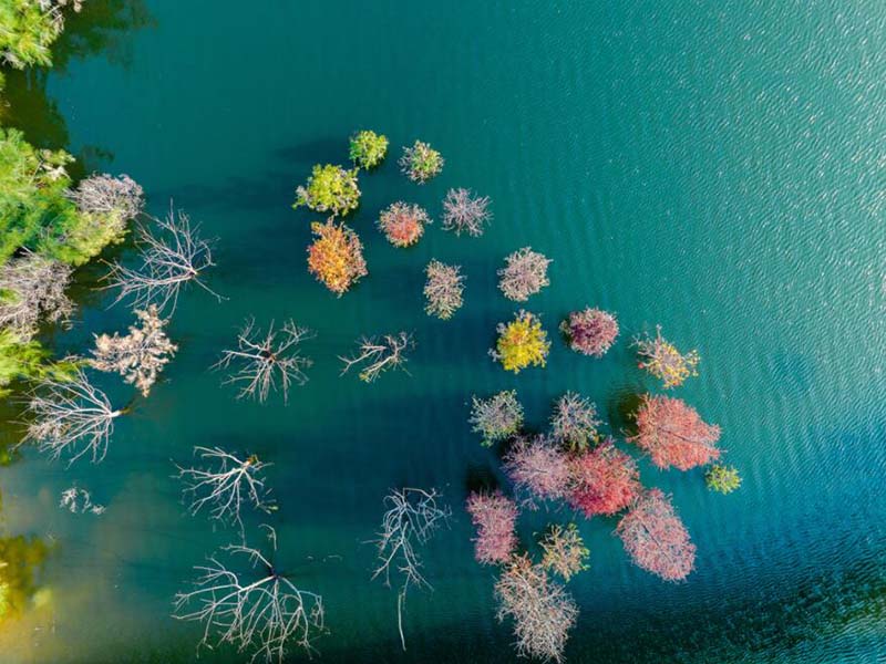 污水出水色度為什么不達標