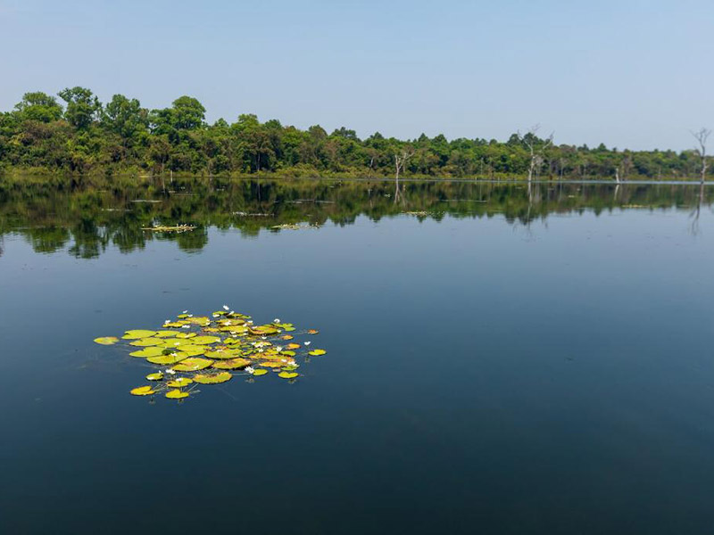 水產養殖水質標準參數