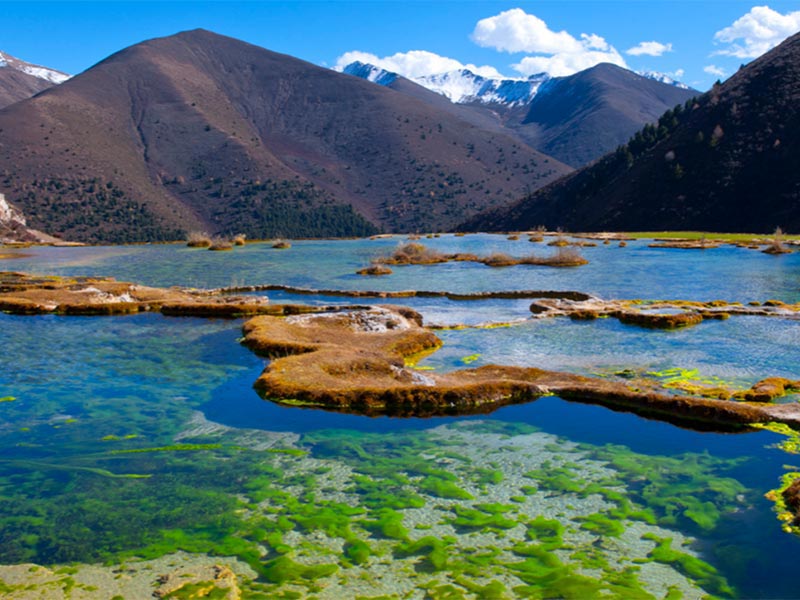 《鹽堿地水產養殖用水水質》正式實施