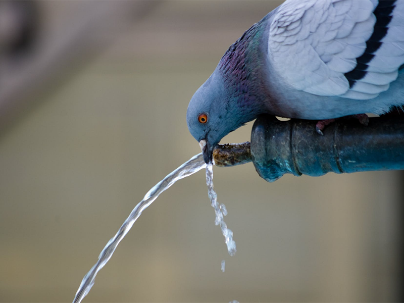瞬時水樣和混合水樣分別是什么