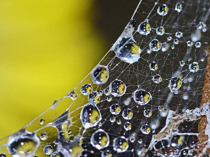 水質余氯檢測儀使用方法