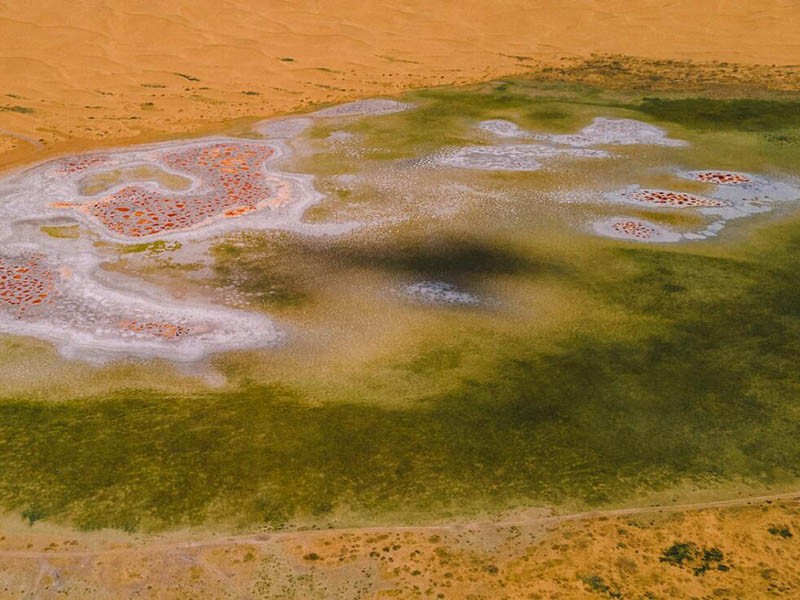 總磷快速檢測(cè)儀參數(shù)指標(biāo)