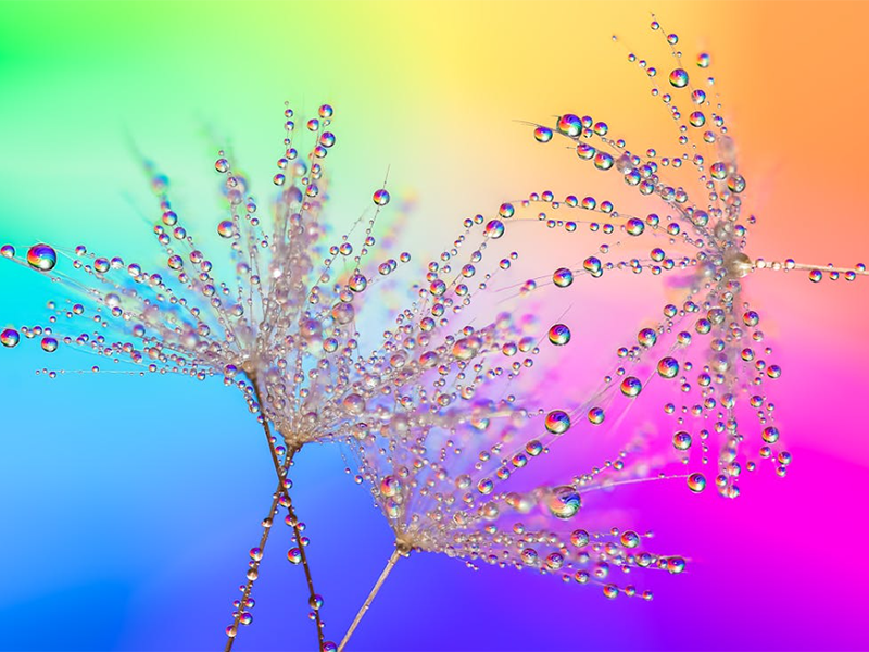 生活飲用水硝酸鹽標(biāo)準(zhǔn)值