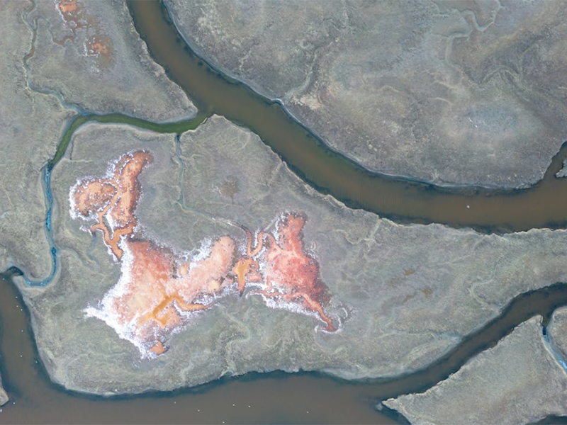 水質亞氯酸鹽檢測儀應用場景