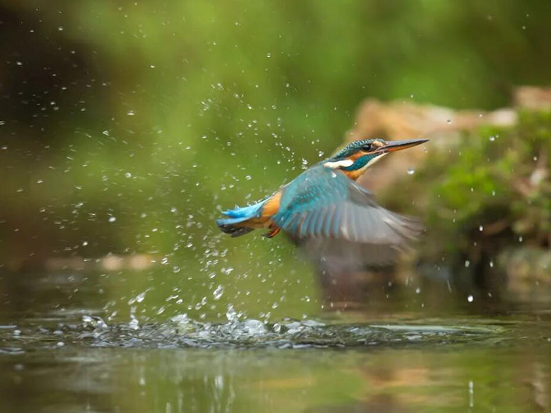 總氮測定儀工作原理(總氮測定儀使用方法)