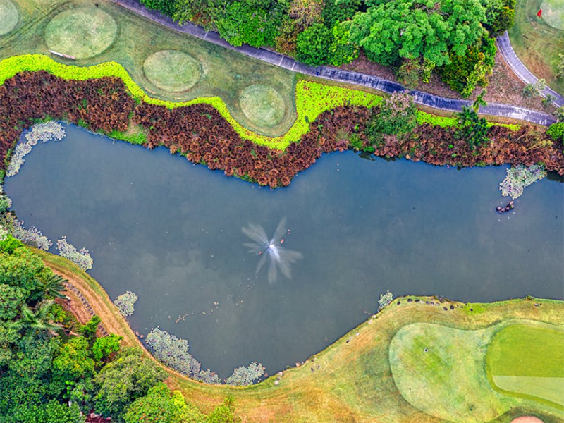 水質氰化物測定儀使用條件要求（水質氰化物測定儀原理）