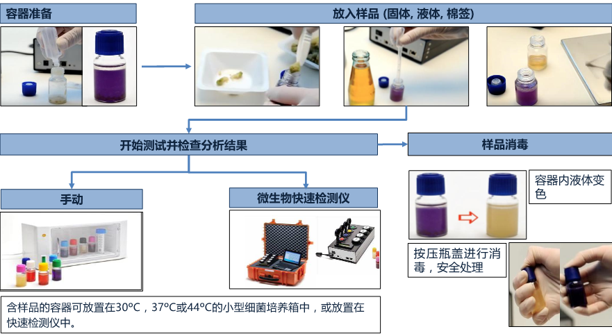 微生物快速檢測系統檢測流程
