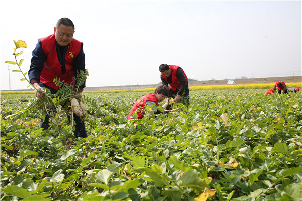 土壤養分速測儀助力農貿開展科學施肥