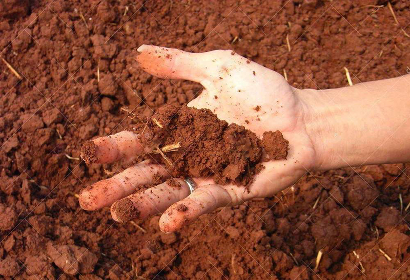 土壤墑情監測儀 土壤墑情監測儀