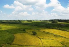 土壤水分測定儀實(shí)現(xiàn)農(nóng)業(yè)精細(xì)化發(fā)展