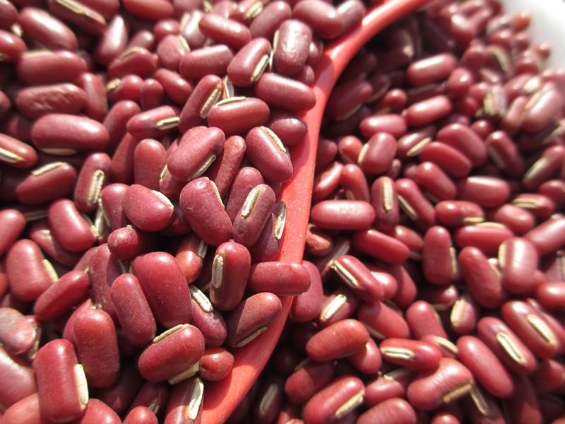 紅豆的產量多少,施肥是關鍵 紅豆的產量多少,施肥是關鍵