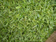 怎樣檢測茶葉中的茶多酚含量?