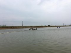 霍爾德便攜式余氯檢測儀，可提前預防養殖風險