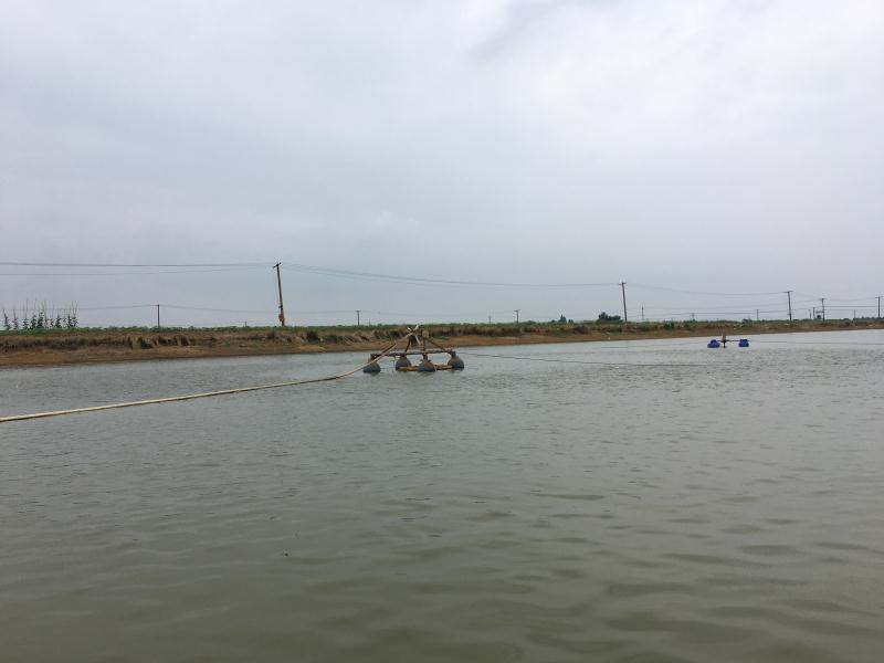 霍爾德便攜式余氯檢測儀，可提前預(yù)防養(yǎng)殖風(fēng)險(xiǎn)