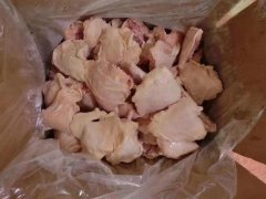 動物疫病診斷儀可以檢測環丙沙星嗎？