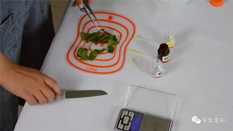 辛集市58所學(xué)校配備農(nóng)藥殘留檢測儀 辛集市58所學(xué)校配備農(nóng)藥殘留檢測儀